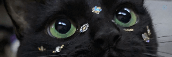‌. 𝑀𝑖𝑟𝑎 -‌'s header picture