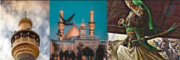 ‌Nafise Marghzari‌'s header picture