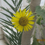 Profile picture of ‌باران‌
