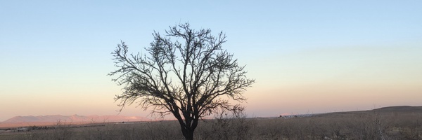 ‌ابر میم‌'s header picture