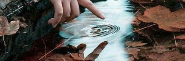 ‌فاطمه نژادی‌'s header picture