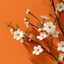 Profile picture of ‌Leili S‌