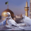 Profile picture of ‌مبینا کارگری‌