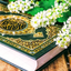 Profile picture of ‌سیدسبحان حسینی‌
