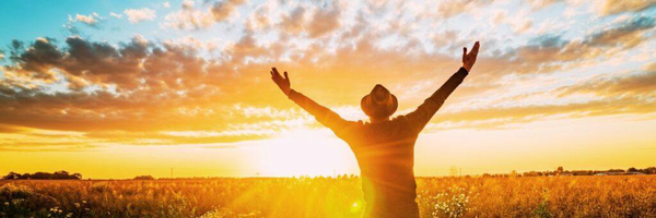 ‌امین بخشی‌'s header picture