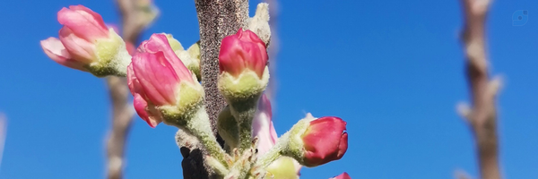 ‌مرتضی خسروی 🇮🇷‌'s header picture