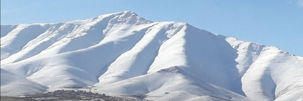 ‌فرهنگ سیف علیان‌'s header picture