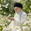 Profile picture of ‌الهام صدیقی‌