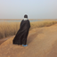 Profile picture of ‌صغ فتح‌اللهی‌