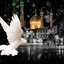 Profile picture of ‌سید اصغر خسروانجم‌
