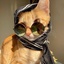 Profile picture of ‌میو‌