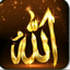 Profile picture of ‌استاد گرامی‌