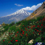 Profile picture of ‌حاج حسین نریمانی‌