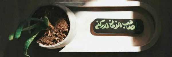 ‌شیِلCiel‌'s header picture