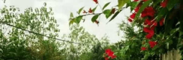 ‌محسن پارسا‌'s header picture
