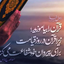 Profile picture of ‌زیبا برکم‌