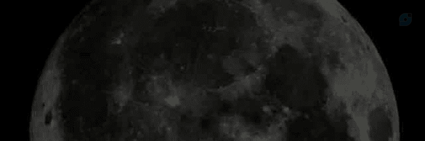 ‌ꜱᴀʀᴇʜ‌'s header picture