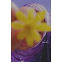 Profile picture of ‌Motiツ‌