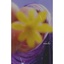 Profile picture of ‌Motiツ‌