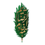 Profile picture of ‌غلام رضا‌
