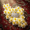 Profile picture of ‌سید‌