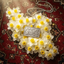 Profile picture of ‌سید‌