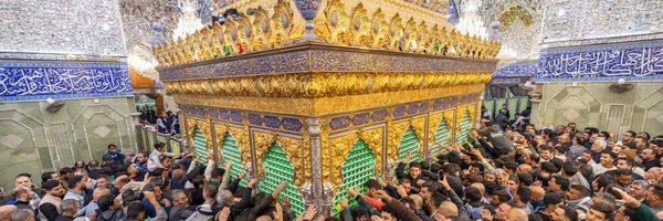 ‌فاطمه علوی‌'s header picture