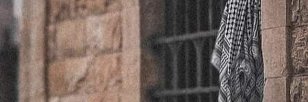 ‌سينا‌'s header picture