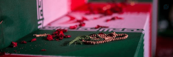 ‌𝖅.𝖁.𝕱‌'s header picture