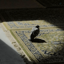 Profile picture of ‌بی‌قرآر  ؛‌