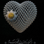 Profile picture of ‌... جامعی‌