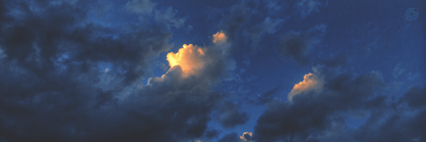‌سیدرضا هاشمی‌'s header picture