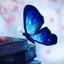 Profile picture of ‌عشق سرخ ۱۱۰‌