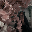 Profile picture of ‌Shadi˖ ᥫ᭡°`‌
