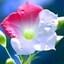 Profile picture of ‌Sina Sina‌