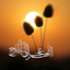 Profile picture of ‌Maryam_ Akbarpourfard‌