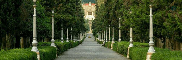 ‌حامد هاشمی‌'s header picture