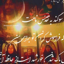 Profile picture of ‌مهدی سگینی‌