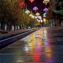 Profile picture of ‌رهگذر‌