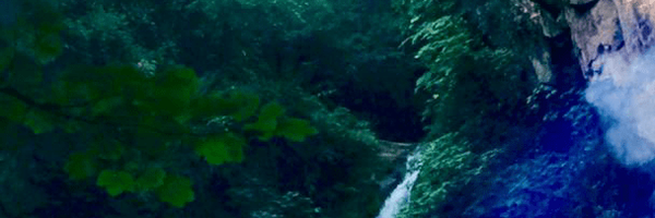 ‌Shirin Shi‌'s header picture