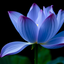 Profile picture of ‌من ساده‌