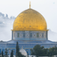 Profile picture of ‌ابراهیم‌
