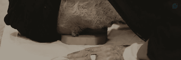 ‌سآجده‌سـادات^‌'s header picture