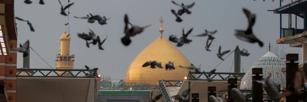 ‌زهرا | zahra‌'s header picture