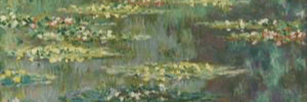 ‌قورباغه درازدست‌'s header picture