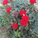 Profile picture of ‌mj‌