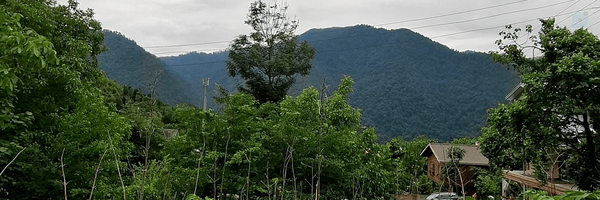 ‌جواد‌'s header picture