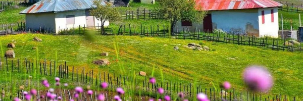 ‌Kamran‌'s header picture