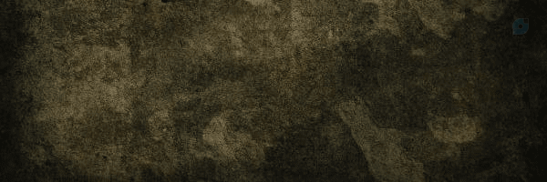 ‌𝖾𝗅𝖺𝗇‌'s header picture