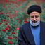 Profile picture of ‌دابلینو‌